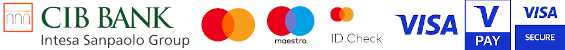 Visa, Mastercard, Maestro, V PAY